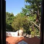 Adamo